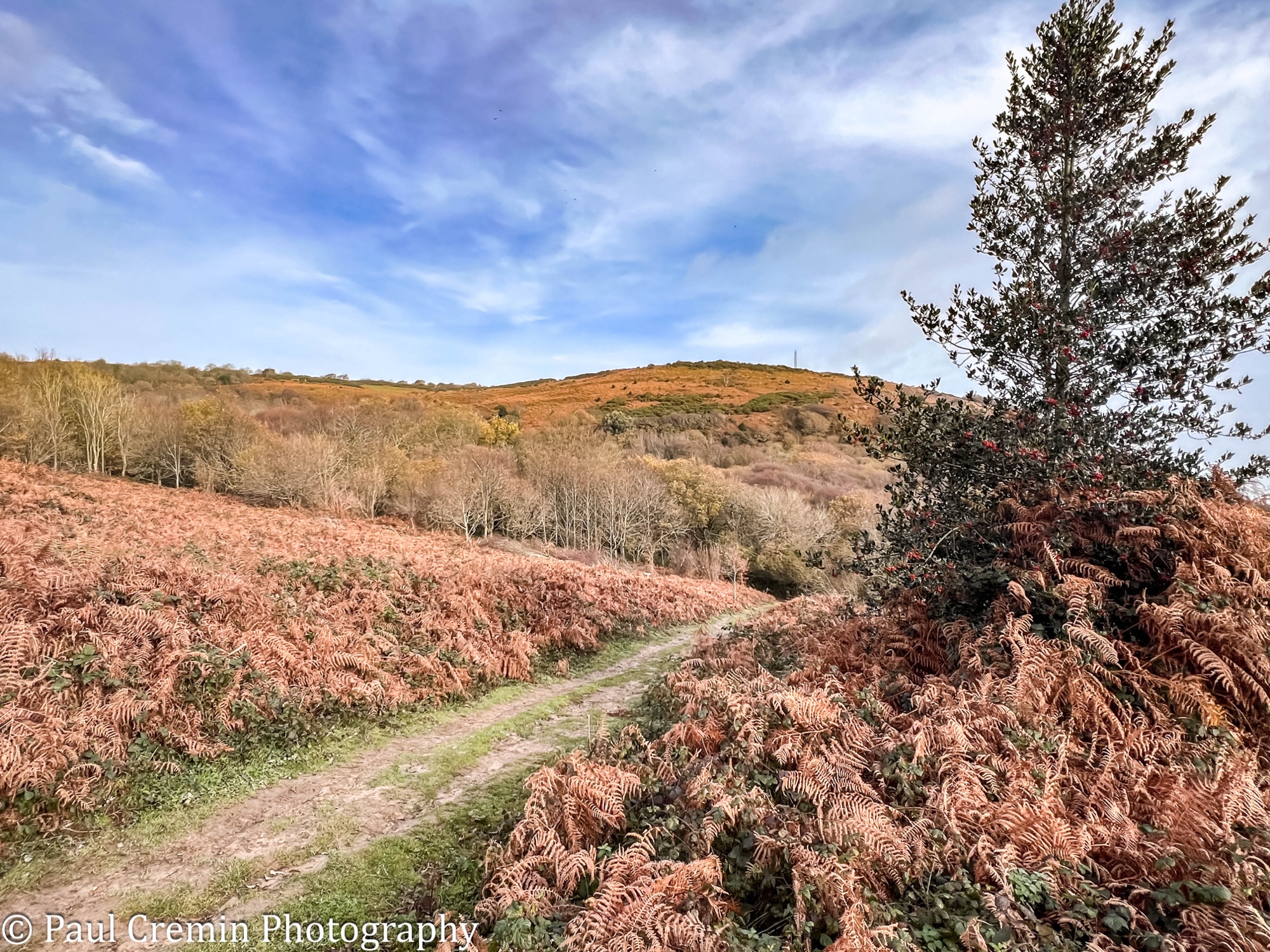 Exploring the England Coastal Path – Part 4 (Hastings to Fairlight)